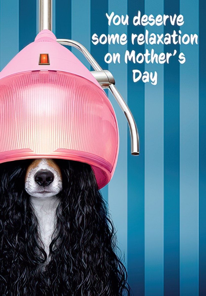 Dog Sitting Under Hairdryer Mother's Day Card