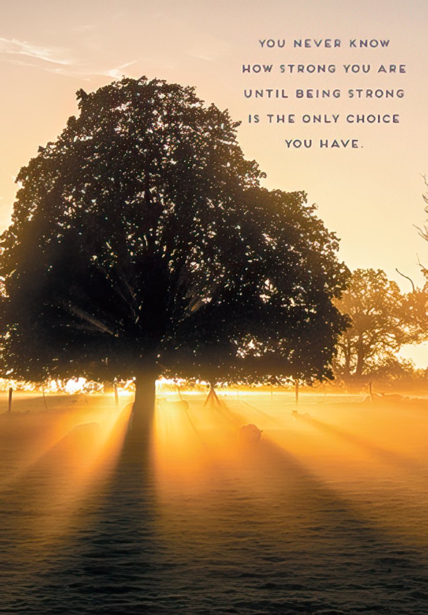 The front of an inspirational card with a large tree silhouetted against a golden sunrise, and a quote about strength.