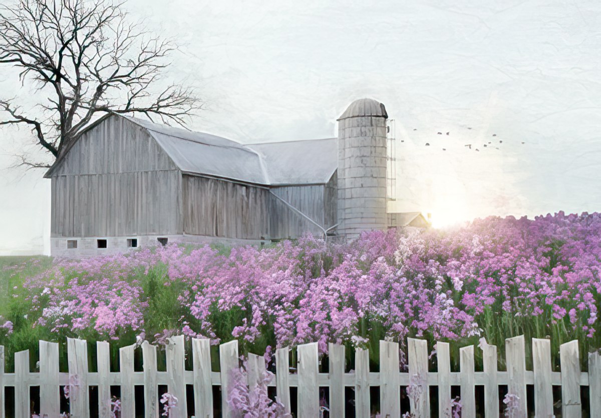 The front of a picturesque card featuring a rustic barn and silo surrounded by a field of purple flowers at sunset.