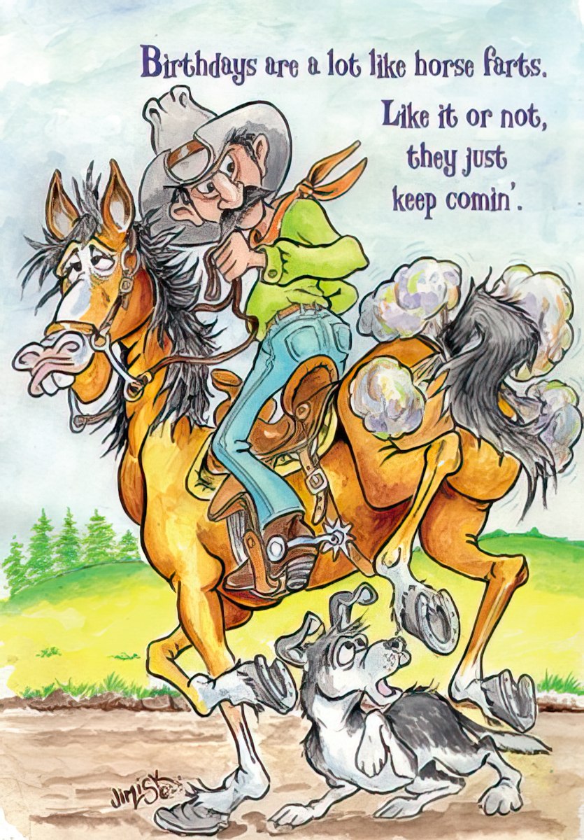 Funny birthday card featuring a cartoon cowboy on a wild horse farting, with a surprised dog below. The card reads: 'Birthdays are a lot like horse farts. Like it or not, they just keep comin.' Perfect for a friend who appreciates irreverent humor.