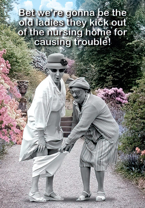 Humorous greeting card featuring two older women in a garden, one lifting her skirt playfully, with text about causing trouble in a nursing home, perfect for a funny women's card.
