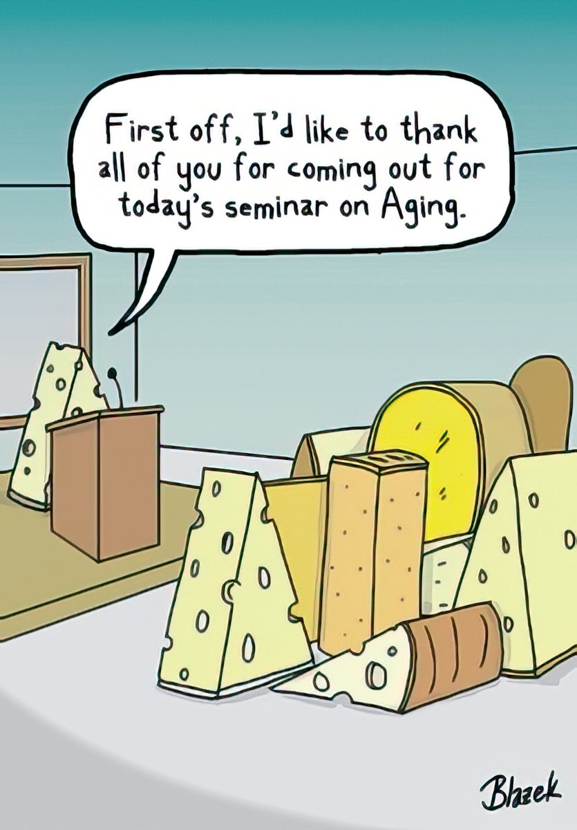 Aging Cheese Seminar Birthday Card