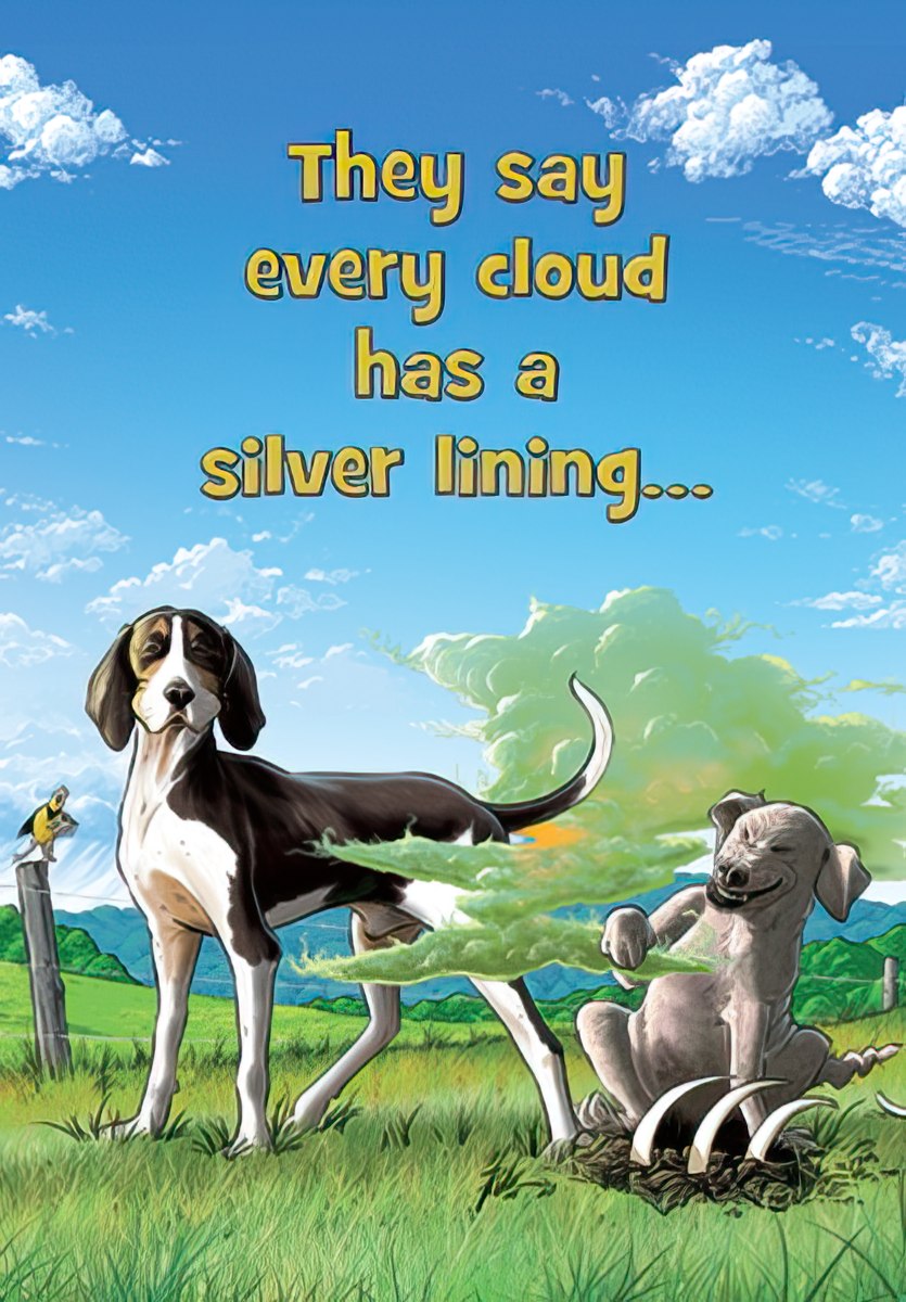 Every cloud has a silver lining Birthday Card