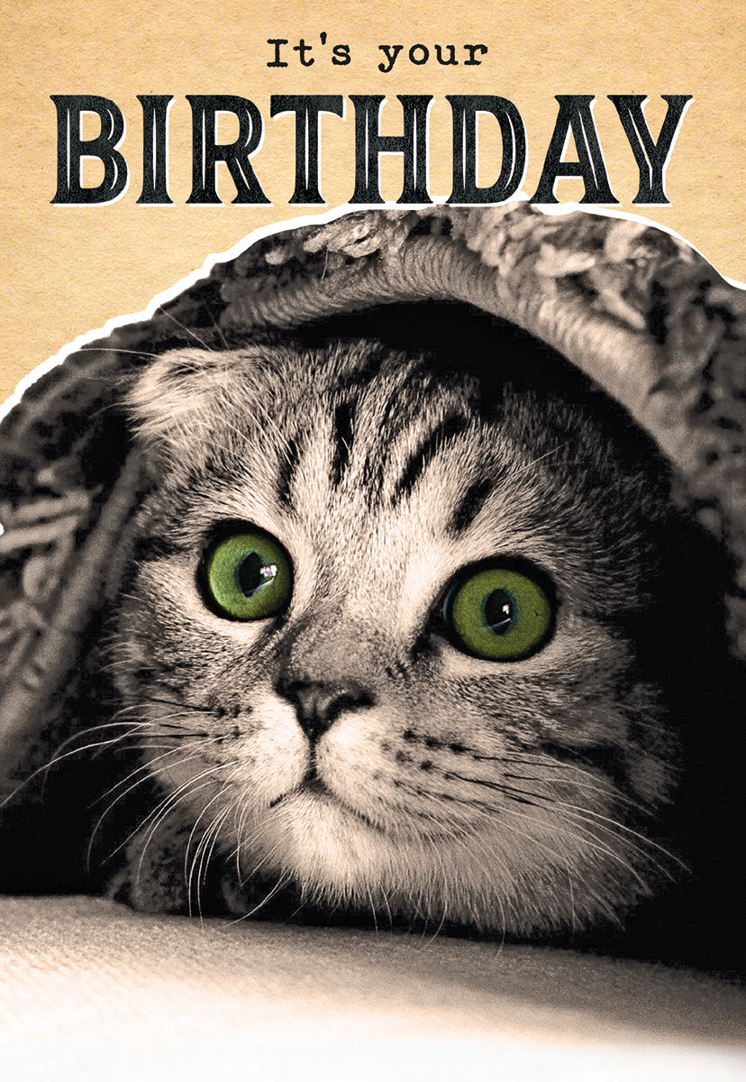 Kitten Peaking Out From Under Blanket Birthday Card