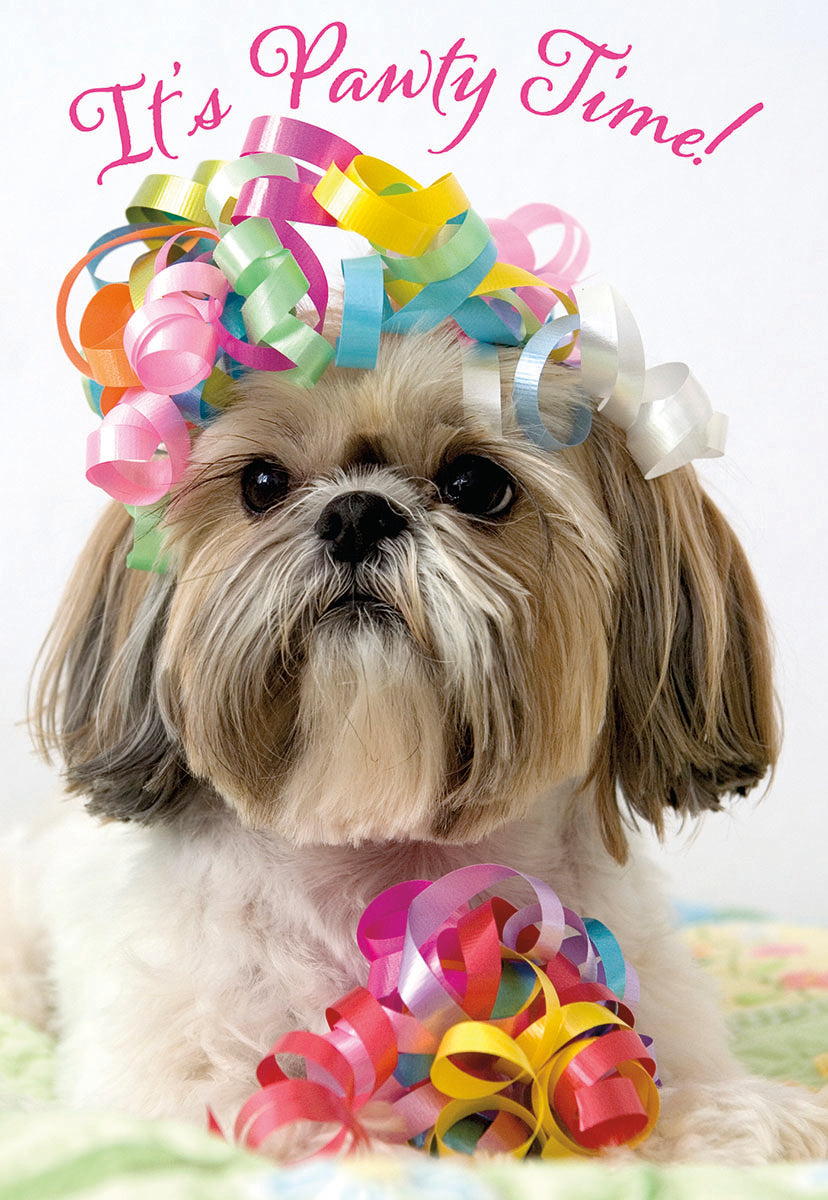 Shi Tzu with Streamers in Hair Birthday Card