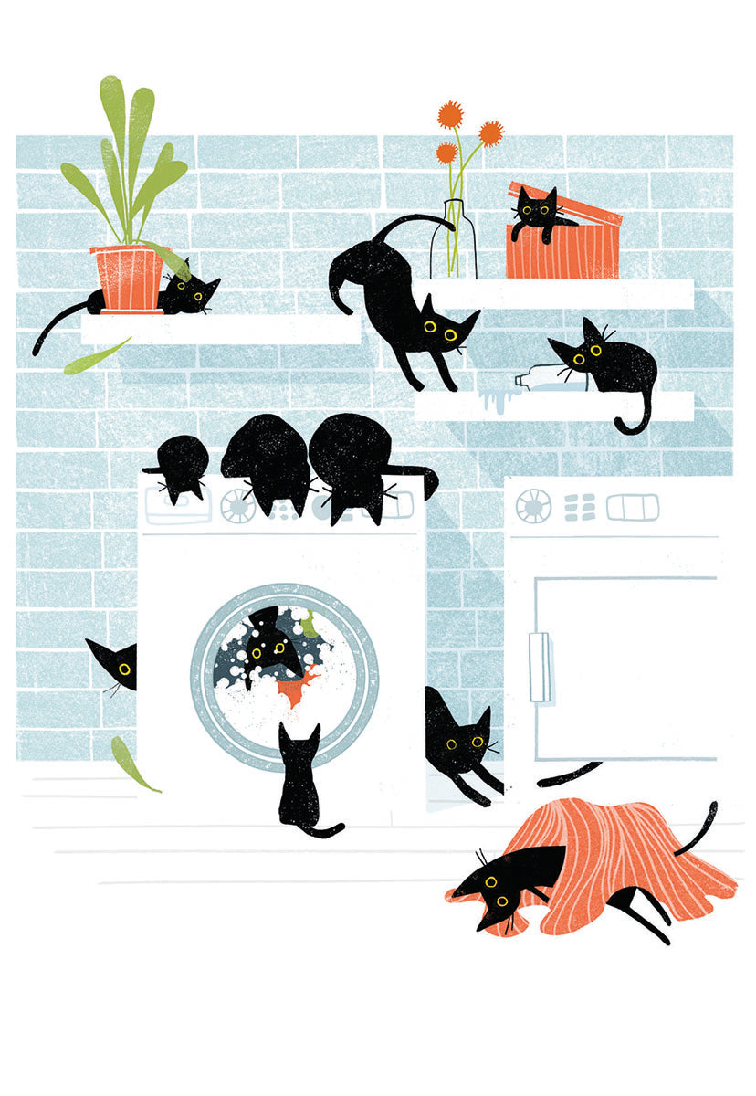 Black Cats Playing in Laundry Room Encouragement Card