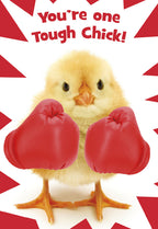 Front of a cheerful encouragement greeting card featuring a cute yellow baby chick wearing red boxing gloves. The text reads: 'You're one Tough Chick!' set against a white background with red starburst accents. Ideal for sending strength and support to a friend or any strong woman.