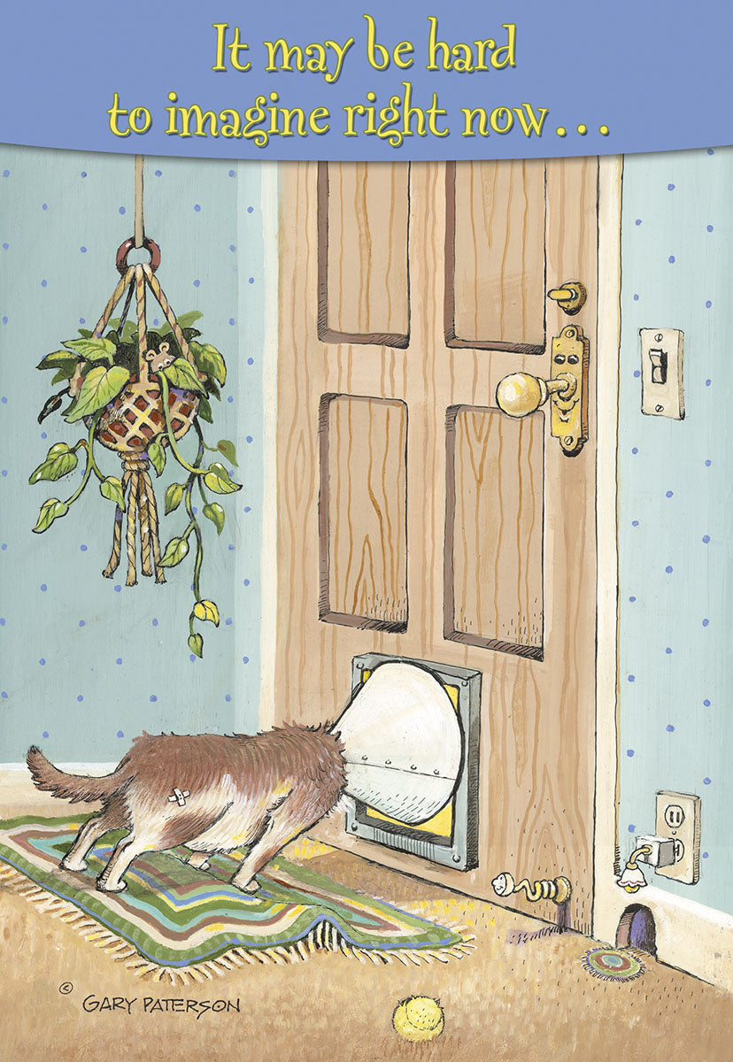 Lighthearted get well card featuring a brown and white cat comically stuck head-first in a pet door, with text 'It may be hard to imagine right now...' encouraging recovery for a friend.