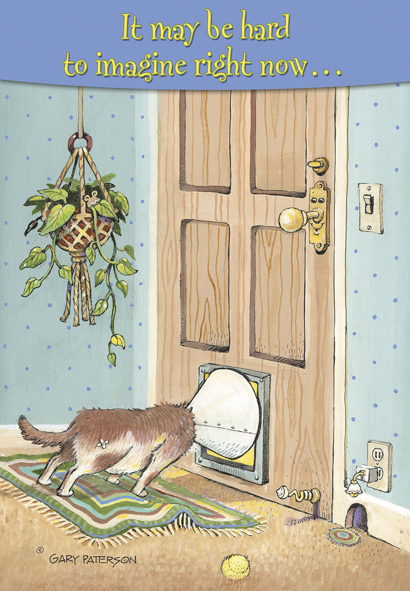 Encouraging get well card featuring a cartoon cat struggling to fit through a pet door. The front reads: 'It may be hard to imagine right now...'