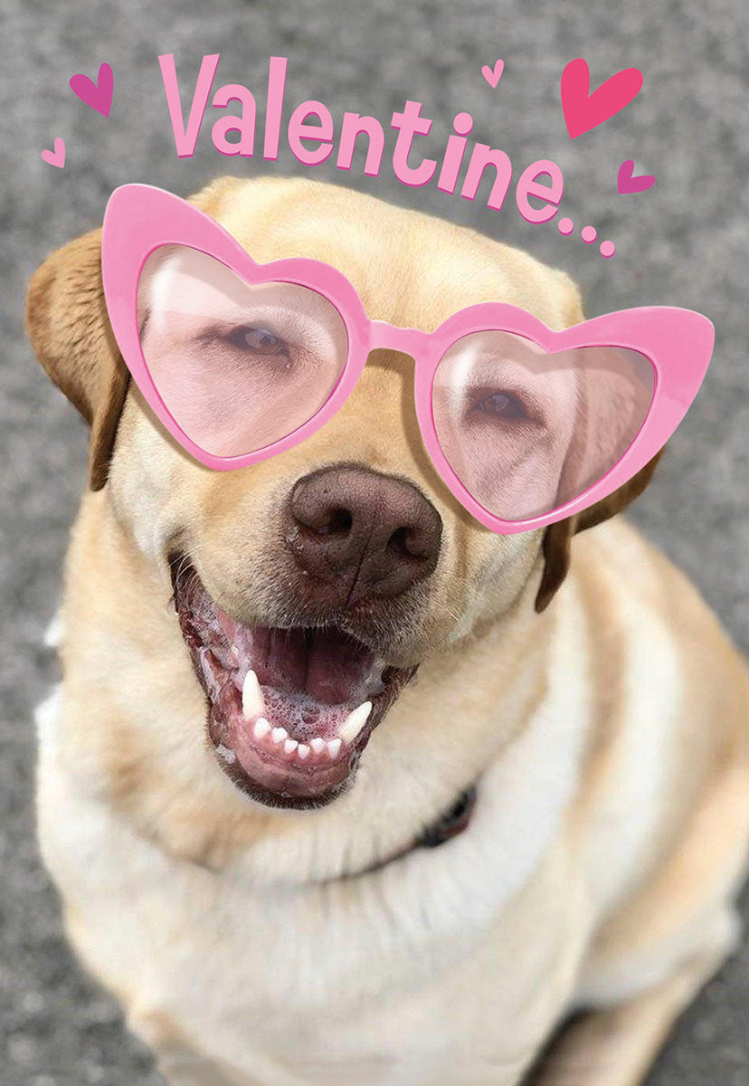 Close-up of a happy yellow Labrador retriever dog wearing pink heart-shaped sunglasses, smiling broadly with its mouth open, showing teeth. The background is a soft grey with subtle pink hearts and the word 'Valentine...' partially visible. SEO keywords: cute dog Valentine's card, Labrador with heart glasses, funny pet greeting card, happy dog V-Day.