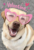 Close-up of a happy yellow Labrador retriever dog wearing pink heart-shaped sunglasses, smiling broadly with its mouth open, showing teeth. The background is a soft grey with subtle pink hearts and the word 'Valentine...' partially visible. SEO keywords: cute dog Valentine's card, Labrador with heart glasses, funny pet greeting card, happy dog V-Day.
