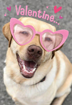 Close-up of a happy yellow Labrador retriever dog wearing pink heart-shaped sunglasses, smiling broadly with its mouth open, showing teeth. The background is a soft grey with subtle pink hearts and the word 'Valentine...' partially visible. SEO keywords: cute dog Valentine's card, Labrador with heart glasses, funny pet greeting card, happy dog V-Day.