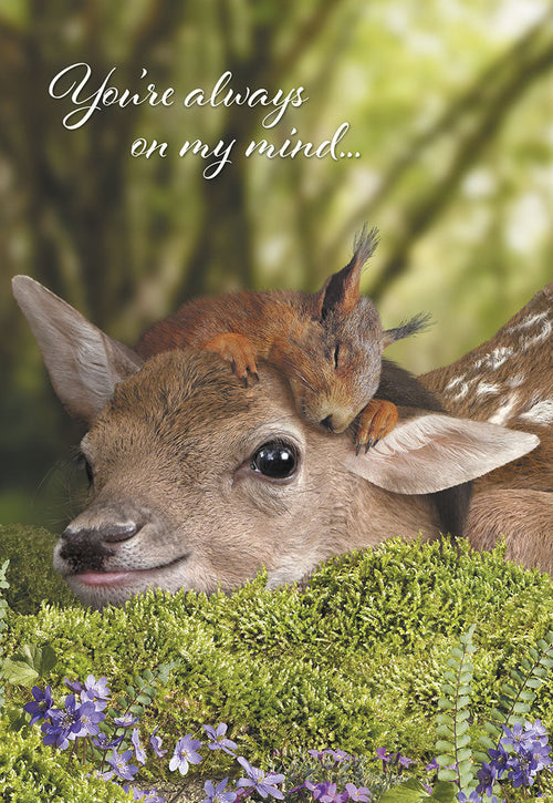 Cute fawn with a sleeping squirrel on its head, resting on green moss with small purple flowers. Front of a heartfelt greeting card, text 'You're always on my mind...'