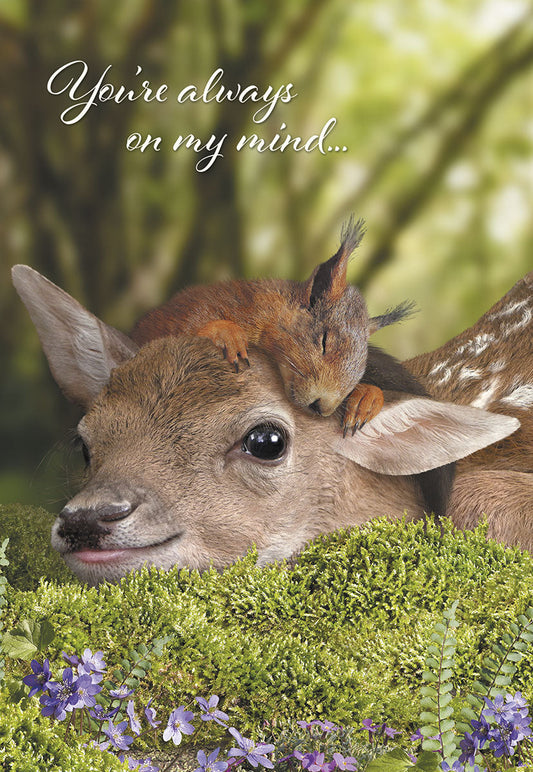 Front of 'Always on My Mind' friendship card featuring a baby deer with a sleeping squirrel on its head, surrounded by moss and flowers.