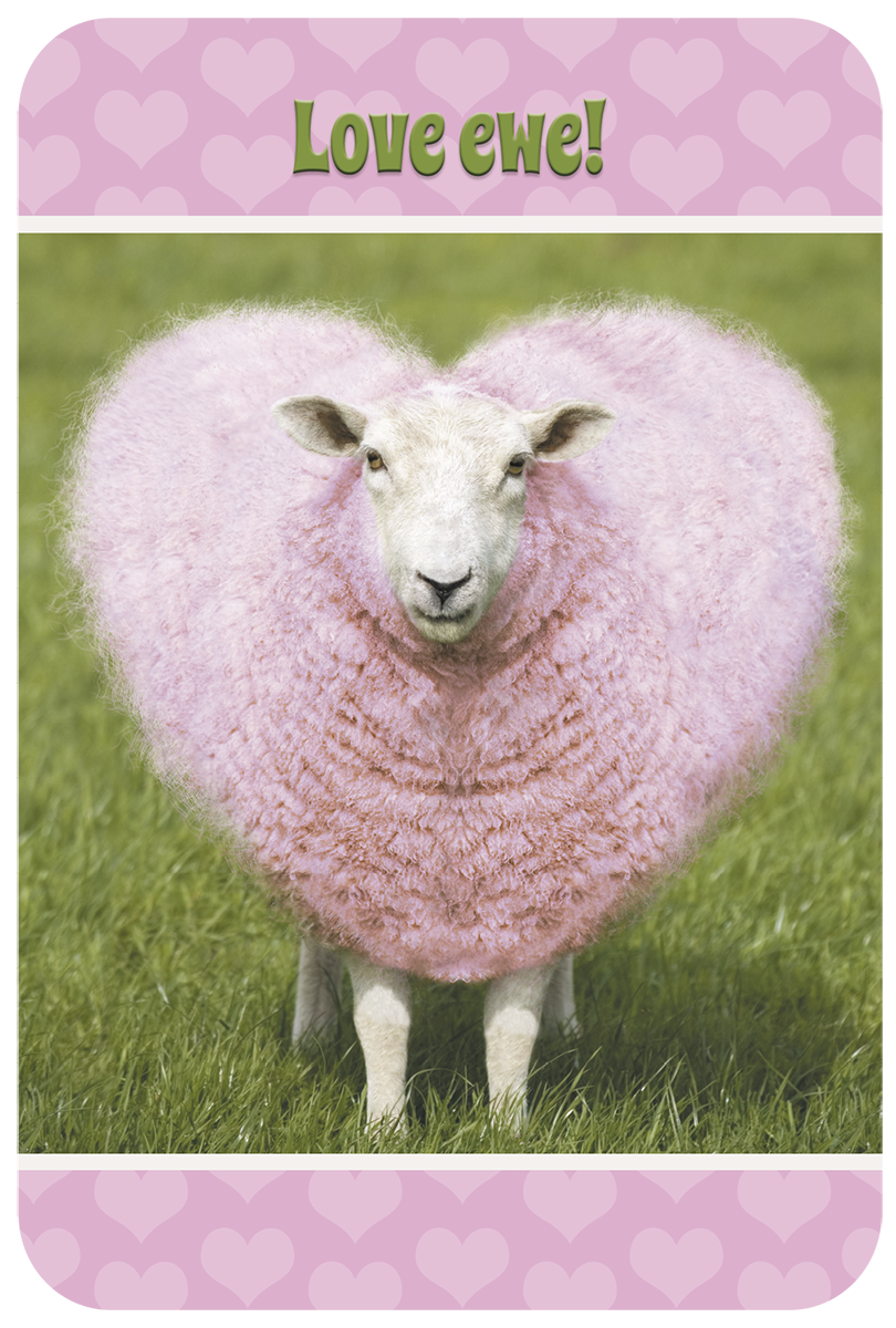 Funny pink sheep heart-shaped greeting card for a friend, featuring 'Love ewe!' text on a charming design.