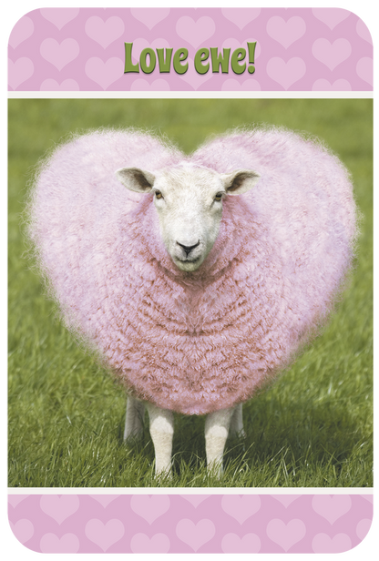 Love Ewe! Cute Pink Heart Sheep Friendship Greeting Card | Cute Friendship Greeting Card