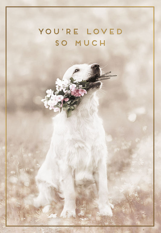 You're Loved So Much Dog Holding Bouquet Friendship Card