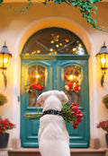 White Labrador dog from behind, holding a bouquet of red roses, standing on a doorstep in front of a teal arched door with warm lights and ivy, symbolizing a romantic delivery for a beloved spouse.