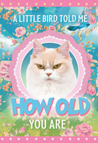 Sassy birthday greeting card front featuring a grumpy white cat framed by a pink scallop edge, with a blue bird flying above. Text reads: 'A little bird told me how old you are.' The background is a blue sky with a floral border of pink and orange flowers.