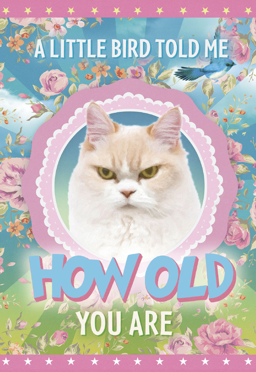 Sassy birthday greeting card front featuring a grumpy white cat framed by a pink scallop edge, with a blue bird flying above. Text reads: 'A little bird told me how old you are.' The background is a blue sky with a floral border of pink and orange flowers.