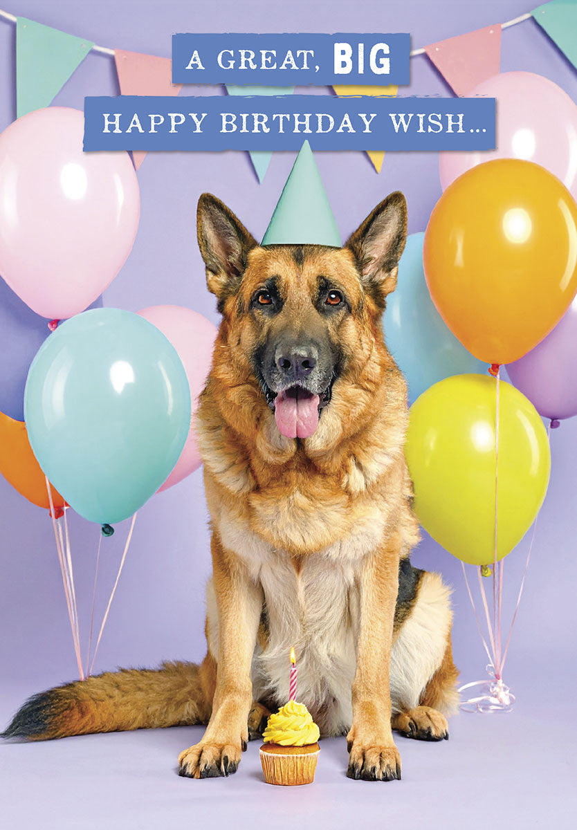 Adorable German Shepherd dog wearing a blue party hat, sitting front of a yellow cupcake with a lit candle, surrounded by colorful balloons and a 'A Great, Big Happy Birthday Wish...' banner, against a light purple background. Ideal for a friend's celebration.