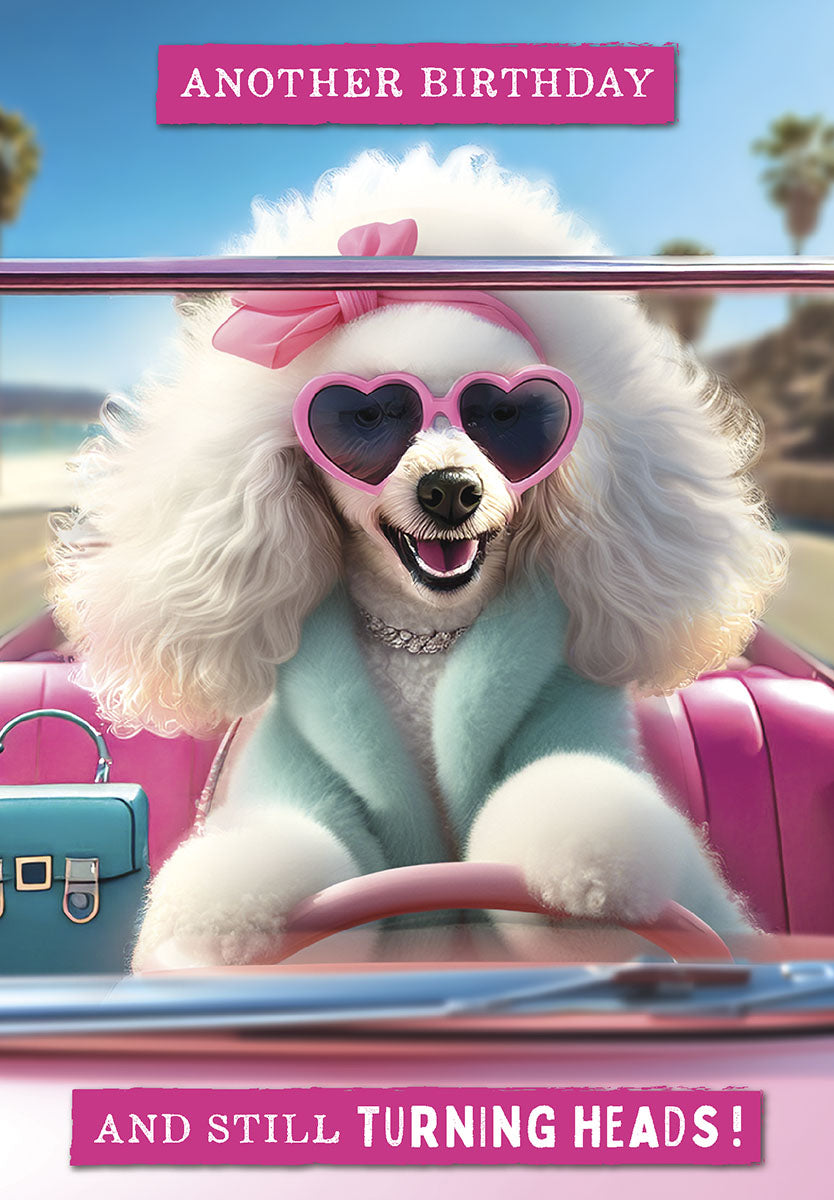 Sassy white poodle wearing pink heart sunglasses, a turquoise coat, and pearl necklace, driving a pink convertible. Front of a funny greeting card with 'ANOTHER BIRTHDAY AND STILL TURNING HEADS!' text, perfect for her friend.