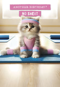 Cute kitten in pink athletic gear doing a split on a yoga mat, with text 'ANOTHER BIRTHDAY? NO SWEAT' above, promoting a humorous and lighthearted birthday message for a friend.