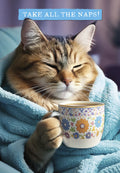 Cute light brown and white tabby cat wrapped in a soft blue blanket, holding a colorful floral teacup. Above the cat, the text reads 'TAKE ALL THE NAPS!'. Perfect get well card for anyone needing rest and comfort.