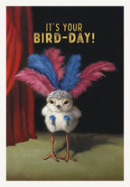 Humorous greeting card featuring a fluffy baby chick wearing a sparkling tiara and vibrant pink and blue feathers, with the punny text 'IT'S YOUR BIRD-DAY!' against a dark background with red stage curtains, perfect for a cheerful celebration.