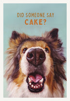 Funny birthday greeting card featuring a close-up painting of an excited, fluffy border collie dog eagerly looking up, mouth open, with the text 'DID SOMEONE SAY CAKE?' on a light blue background. Perfect for dog lovers.