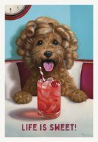 Charming greeting card featuring a fluffy brown dog in a retro diner booth with a red cherry drink, 'LIFE IS SWEET!' text, perfect for a friend's special day.