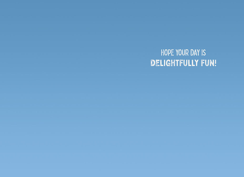 Inside view of a delightful birthday greeting card, showing a clear sky blue background with elegant white text that wishes 'HOPE YOUR DAY IS DELIGHTFULLY FUN!'. Ideal for adding a personal message.
