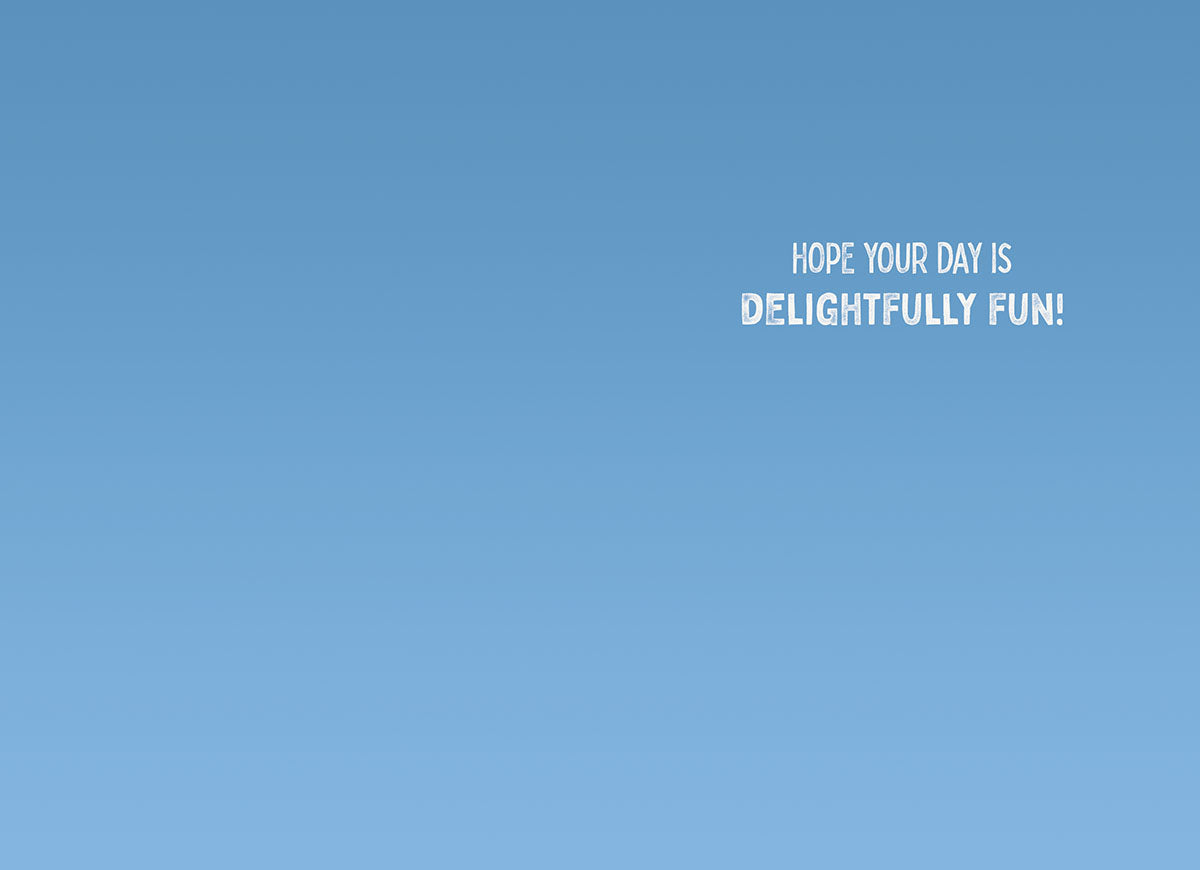 Inside view of a delightful birthday greeting card, showing a clear sky blue background with elegant white text that wishes 'HOPE YOUR DAY IS DELIGHTFULLY FUN!'. Ideal for adding a personal message.