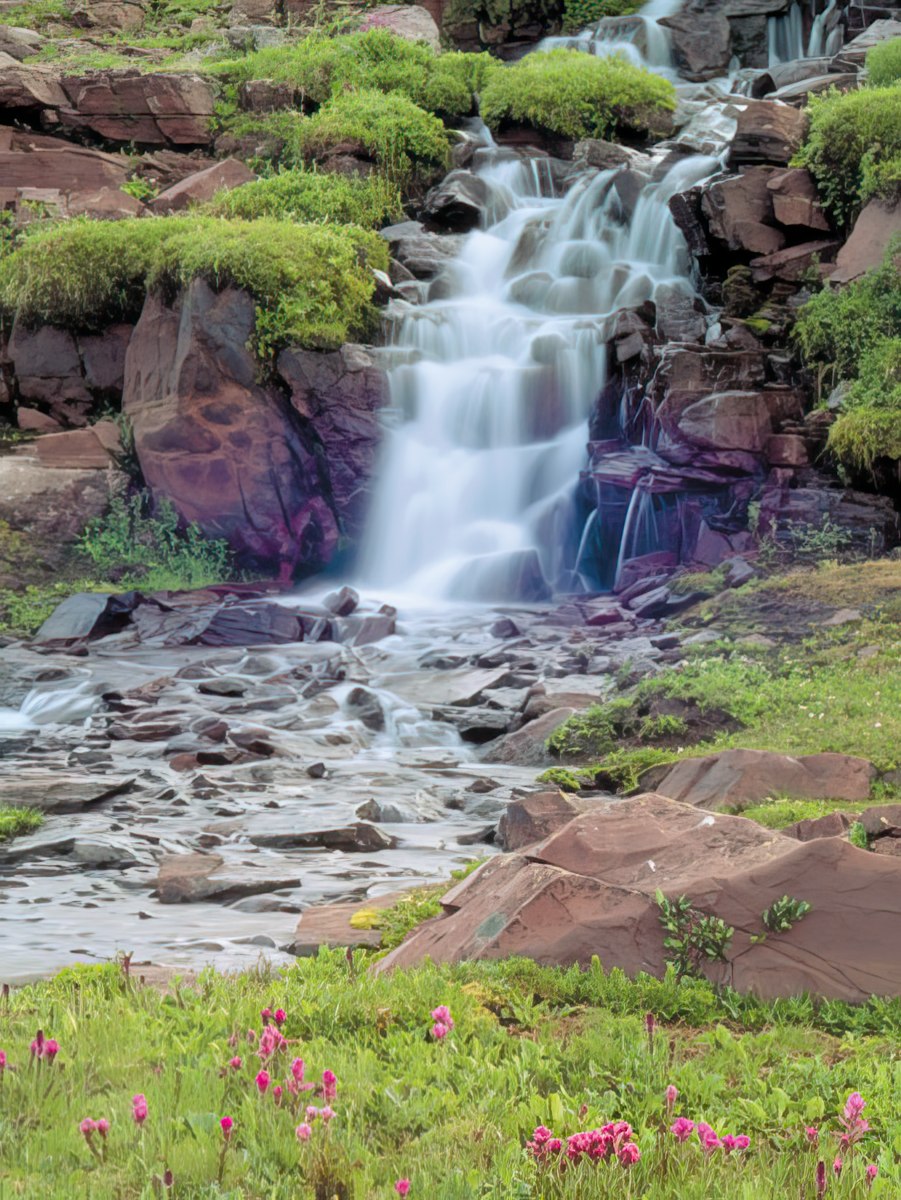 A beautiful waterfall cascading over rocks into a stream surrounded by green foliage and small pink flowers.