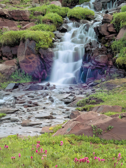 A beautiful waterfall cascading over rocks into a stream surrounded by green foliage and small pink flowers.