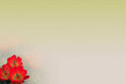 A soft gradient background from light green to off-white, with red cactus flowers blurred in the lower left corner.