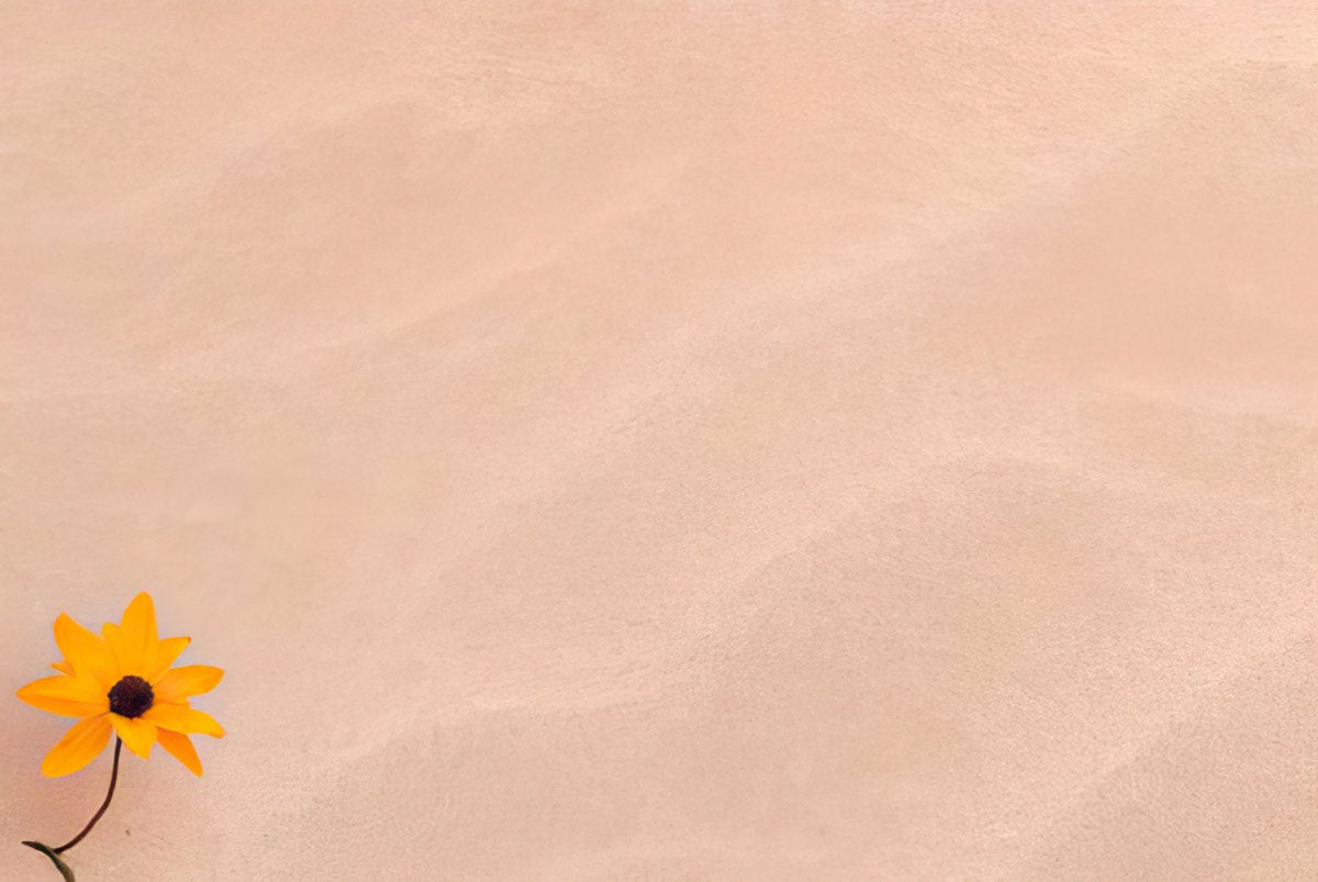 A solid light peach background with a yellow desert sunflower partially visible in the lower left corner.