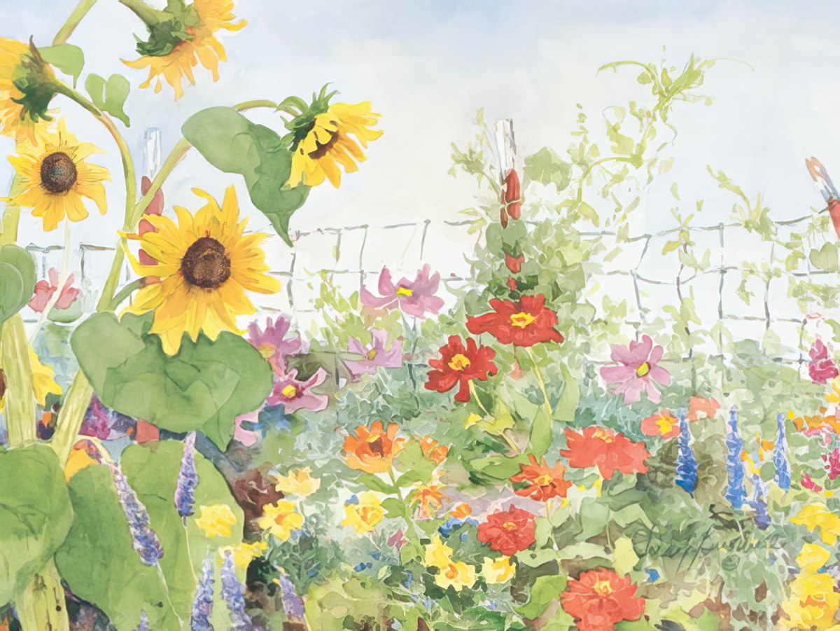 Judy Buswell watercolor painting of a lively garden scene with tall sunflowers, various colorful flowers, and a fence.