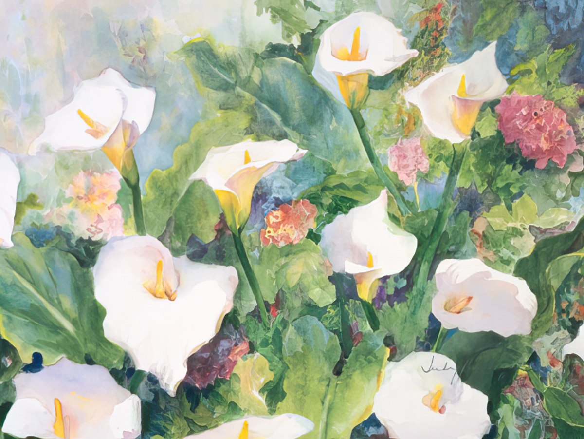 Watercolor painting by Judy Buswell of elegant white calla lilies surrounded by lush green foliage and hints of pink.