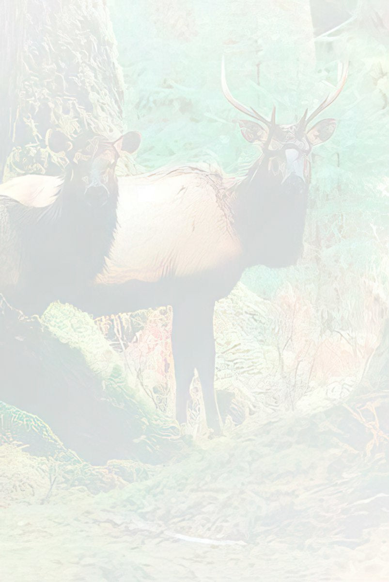 Faded, light green and white abstract background with subtle, ethereal outlines of trees and an animal.