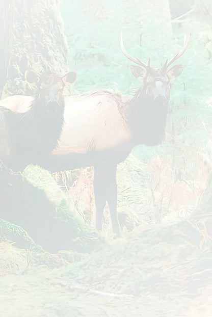 Faded, light green and white abstract background with subtle, ethereal outlines of trees and an animal.