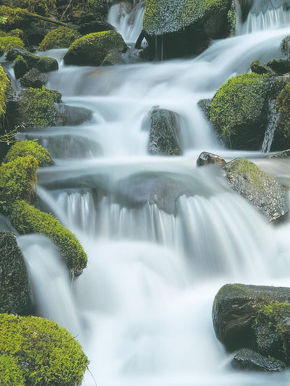 A close-up view of multiple cascades of clear water flowing over moss-covered rocks and logs in a vibrant green forest stream.