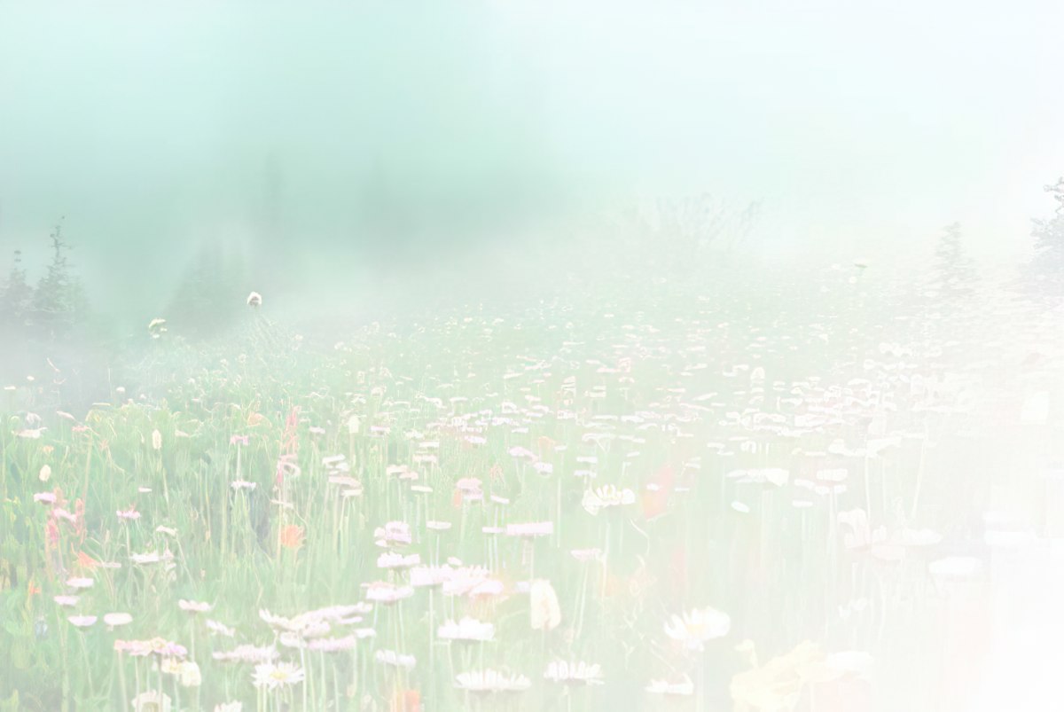 Faded light green and white abstract background with blurred, delicate floral shapes and soft hues.