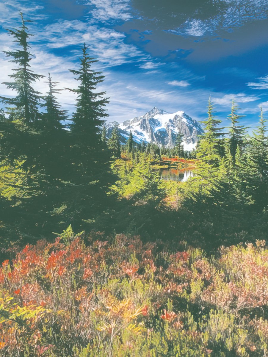 Scenic view of a grand snow-capped mountain peak, partially obscured by lush evergreen trees and a small, calm body of water.