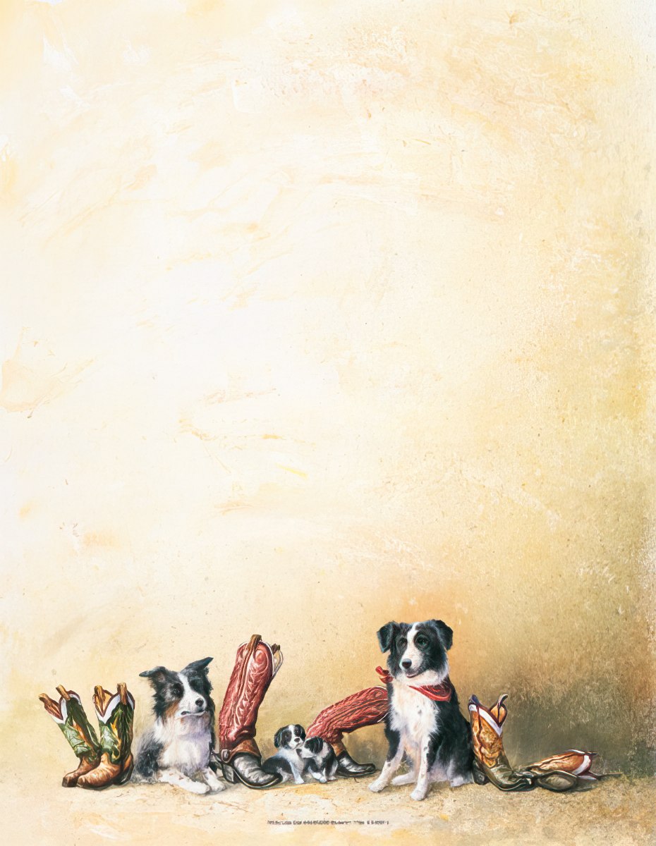 Watercolor illustration of two black and white Border Collie dogs and two small puppies resting among various cowboy boots on a rustic light brown background, perfect for country-themed stationery.