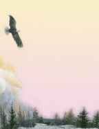 Majestic bald eagle soaring over evergreen trees on a single sheet of elegant stationery paper, ideal for professional or personal notes. High-quality writing paper for letters, invitations, or messages.