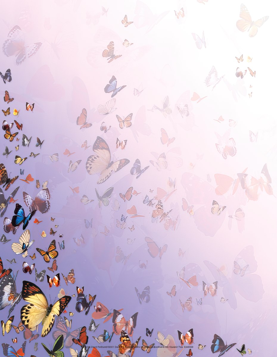 Vibrant monarch and swallowtail butterflies in flight against a dreamy lavender and white gradient, perfect for nature-inspired stationery designs.