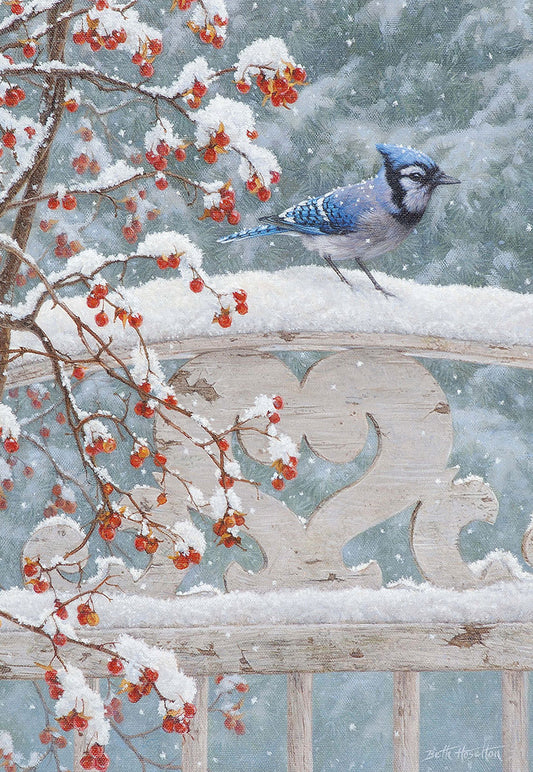 Blue Jay on White Garden Gate Christmas Card