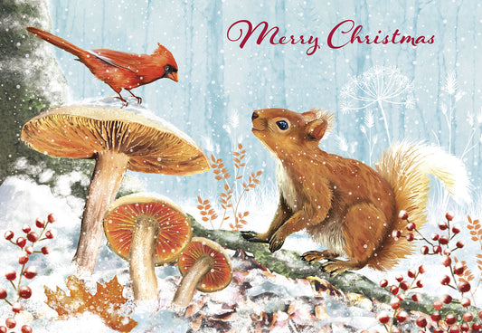 Squirrel Cardinal Sitting on Mushroom Christmas Card Single