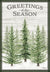 Greetings of the Season Trees Christmas Card